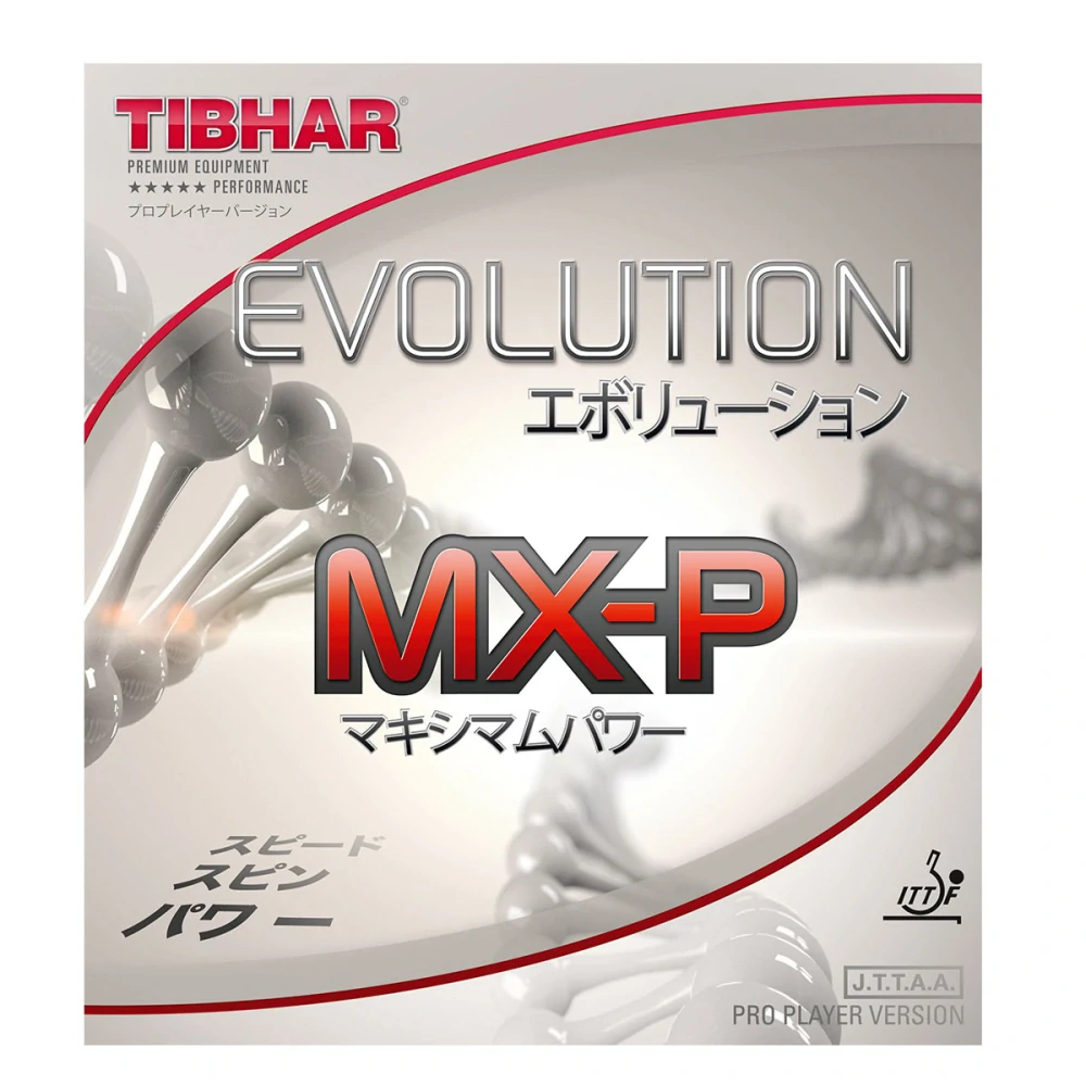 Tibhar Stratus Powerwood + Tibhar Evolution MX-P pálka