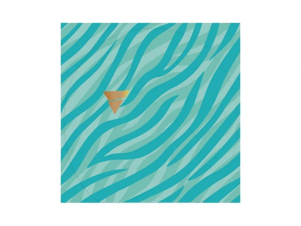 Victas ochranná fólie Protection 1 ks