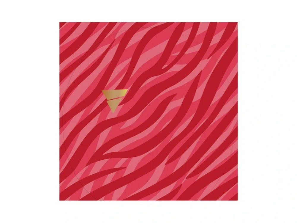 Victas ochranná fólie Protection 1 ks