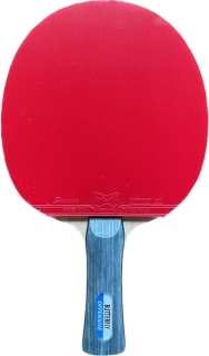 Butterfly Offensive New+Sriver L pálka 